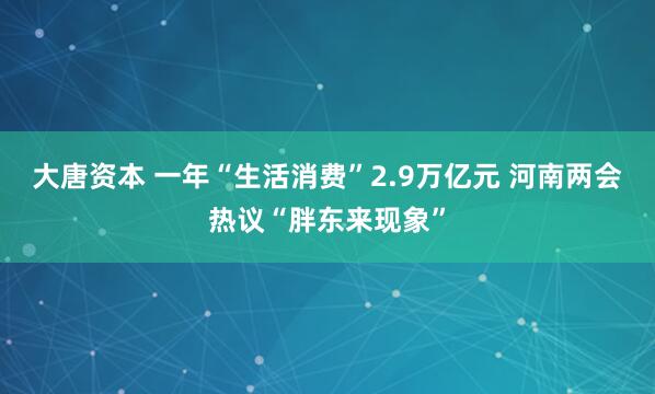 大唐资本 一年“生活消费”2.9万亿元 河南两会热议“胖东来现象”