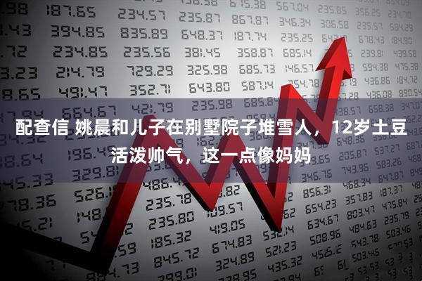 配查信 姚晨和儿子在别墅院子堆雪人，12岁土豆活泼帅气，这一点像妈妈